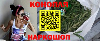 шишки Нарткала